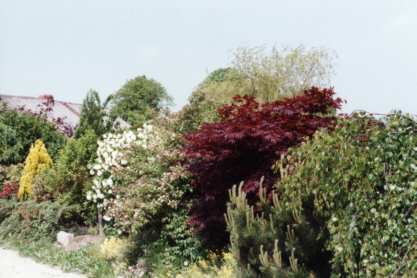 Gartendesign Gartenplanung Galabau Gartengestaltung Teichbau